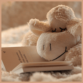 Snuggle Fragrance Oil - Craftovator